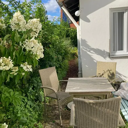 Blauer Mohn הוווכט