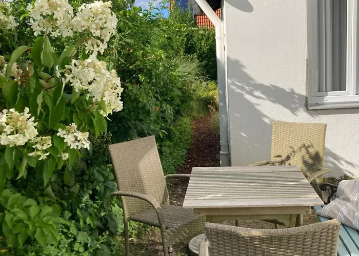 Blauer Mohn Hohwacht